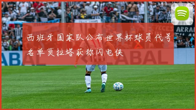 西班牙国家队公布世界杯球员代号名单莫拉塔获称闪电侠